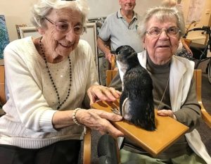 Old Women's with Bird, Residents at Home Style Aged Care - Sea Views Manor, holding mounted fauna exhibits from Museum Victoria, aged care, aged care activities melbourne, aged care melbourne, lifestyle program