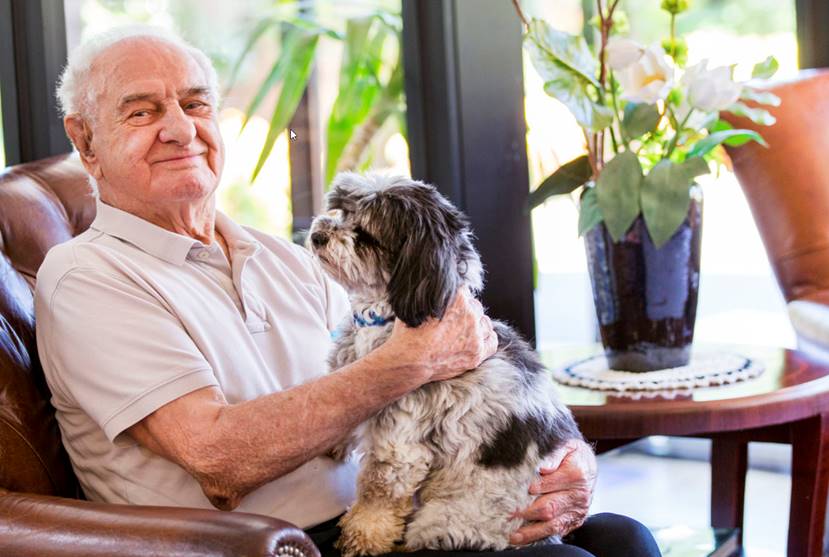 Banjo the pet dog visiting an aged care resident in a Homestyle Aged Care Facility
