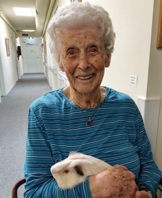 Pet Therapy Program in Aged Care