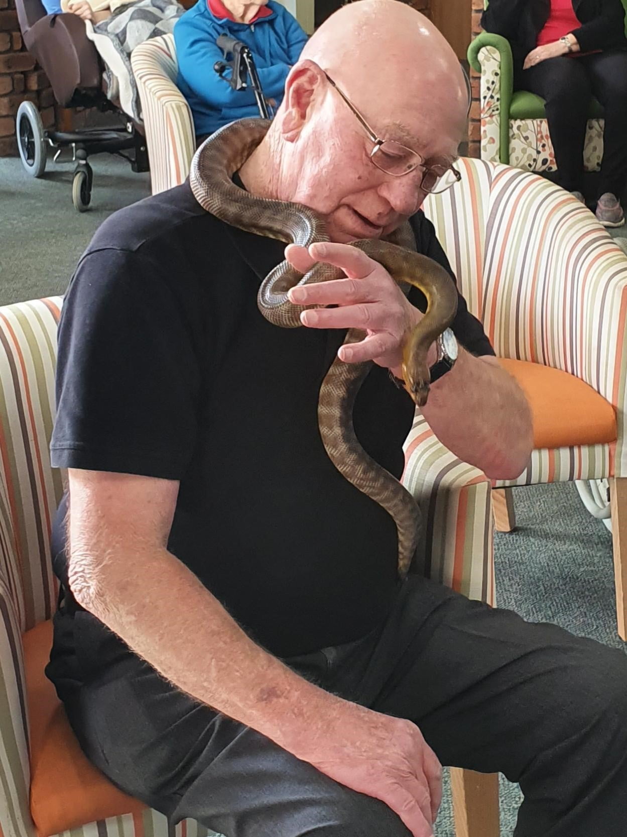 World Snake Day,Activities in Aged Care, aged care geelong, aged care lifestyle program, aged care melbourne, Incursion in Aged Care, pets in aged care, Snakes, Visiting Snakes, World Snake Day